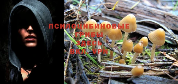 гашишное масло Горняк