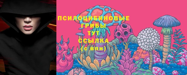 МДПВ Горно-Алтайск